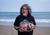 Gustavo Salas: El Puente Invisible entre el Vientre de la Montaña y el Latido del Mar