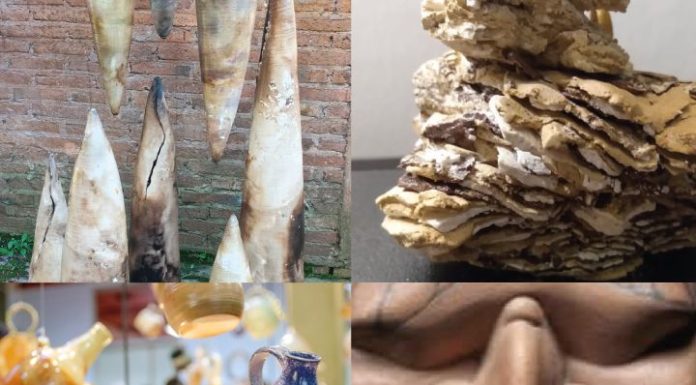 5/8 al 18/9: Muestra LOS RITUALES DE LA PRESENCIA