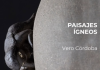 hasta el 28/11: PAISAJES ÍGNEOS | Vero Córdoba