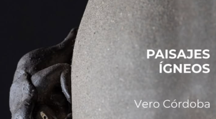 hasta el 28/11: PAISAJES ÍGNEOS | Vero Córdoba